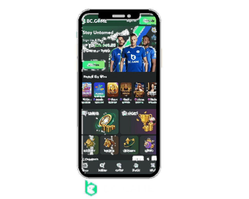 Download And Install BC Video Game Application